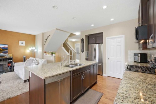 119 Skyview Point Crescent Ne, Calgary, AB - Indoor Photo Showing Kitchen With Double Sink