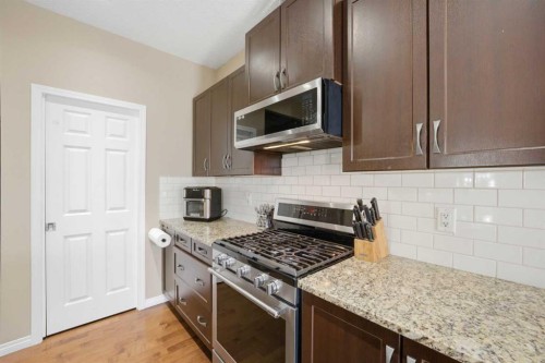119 Skyview Point Crescent Ne, Calgary, AB - Indoor Photo Showing Kitchen With Upgraded Kitchen