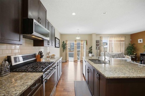 119 Skyview Point Crescent Ne, Calgary, AB - Indoor Photo Showing Kitchen With Double Sink With Upgraded Kitchen