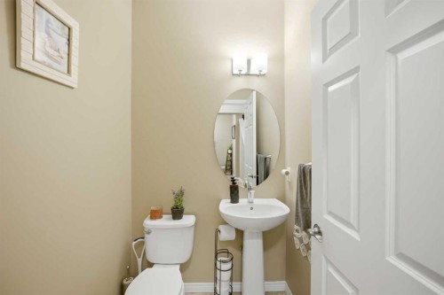 119 Skyview Point Crescent Ne, Calgary, AB - Indoor Photo Showing Bathroom