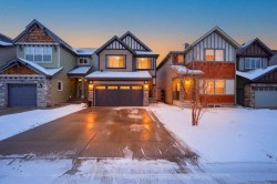 119 Skyview Point Crescent NECalgary, AB T3N 0M2