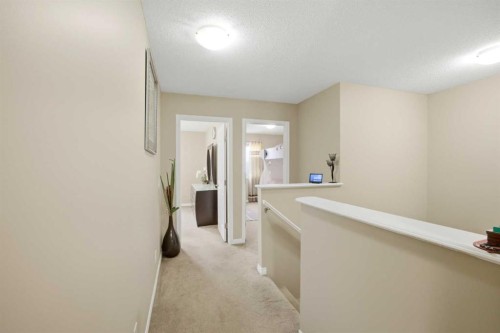 119 Skyview Point Crescent Ne, Calgary, AB - Indoor Photo Showing Other Room
