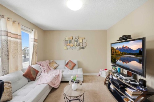 119 Skyview Point Crescent Ne, Calgary, AB - Indoor Photo Showing Living Room
