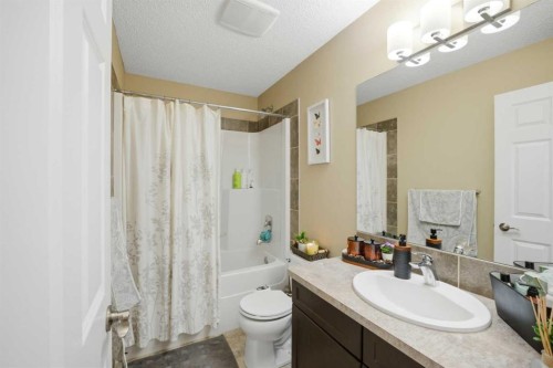 119 Skyview Point Crescent Ne, Calgary, AB - Indoor Photo Showing Bathroom