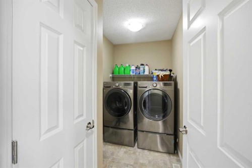 119 Skyview Point Crescent Ne, Calgary, AB - Indoor Photo Showing Laundry Room