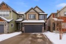 119 Skyview Point Crescent Ne, Calgary, AB  - Outdoor With Facade 