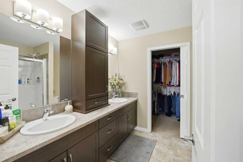 119 Skyview Point Crescent Ne, Calgary, AB - Indoor Photo Showing Bathroom