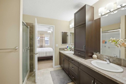 119 Skyview Point Crescent Ne, Calgary, AB - Indoor Photo Showing Bathroom
