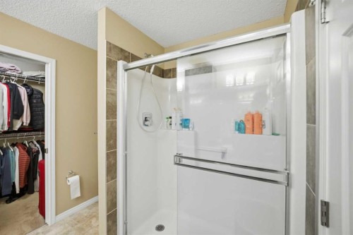 119 Skyview Point Crescent Ne, Calgary, AB - Indoor