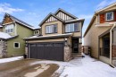 119 Skyview Point Crescent Ne, Calgary, AB  - Outdoor 