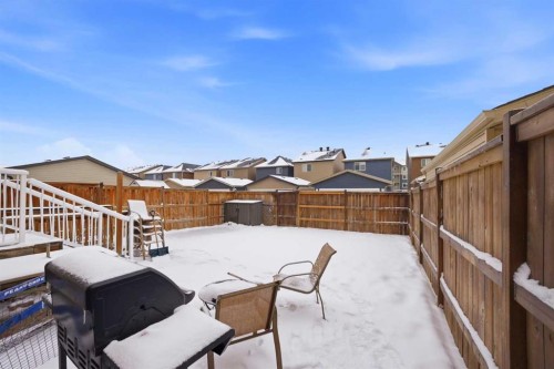 119 Skyview Point Crescent Ne, Calgary, AB - Outdoor With Deck Patio Veranda