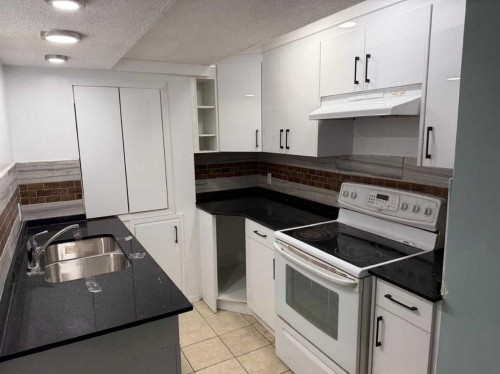 119 Skyview Point Crescent Ne, Calgary, AB - Indoor Photo Showing Kitchen With Double Sink