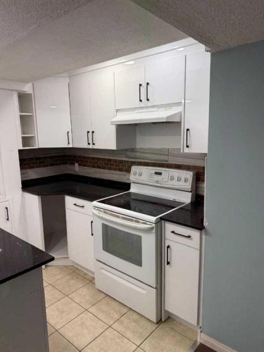 119 Skyview Point Crescent Ne, Calgary, AB - Indoor Photo Showing Kitchen
