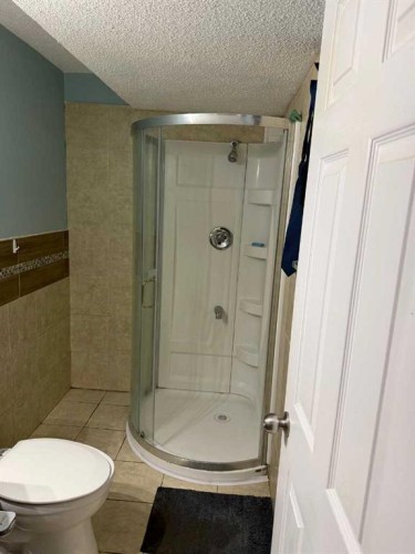 119 Skyview Point Crescent Ne, Calgary, AB - Indoor Photo Showing Bathroom