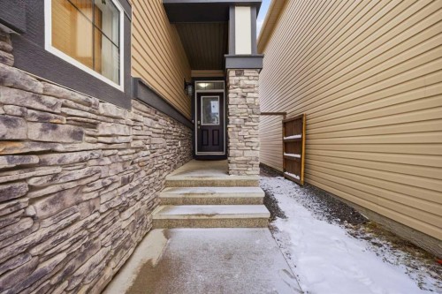119 Skyview Point Crescent Ne, Calgary, AB - Outdoor