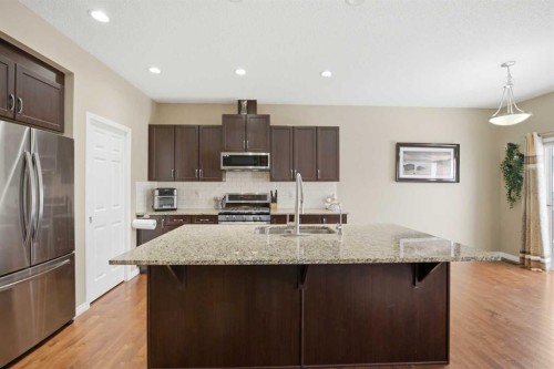 119 Skyview Point Crescent Ne, Calgary, AB - Indoor Photo Showing Kitchen With Stainless Steel Kitchen With Double Sink With Upgraded Kitchen