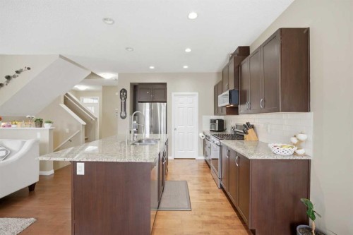 119 Skyview Point Crescent Ne, Calgary, AB - Indoor Photo Showing Kitchen With Double Sink With Upgraded Kitchen
