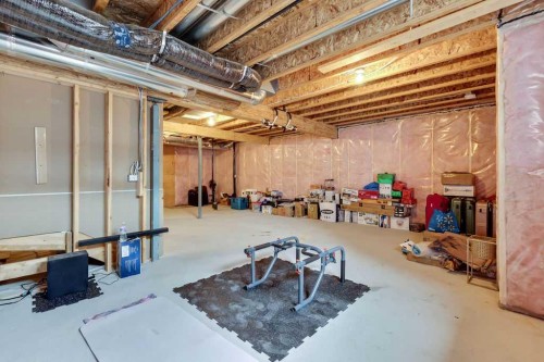 216 Creekstone Row Sw, Calgary, AB - Indoor Photo Showing Basement