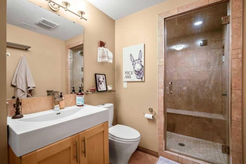 49 Spring Meadows Bay, Okotoks, AB - Indoor Photo Showing Bathroom