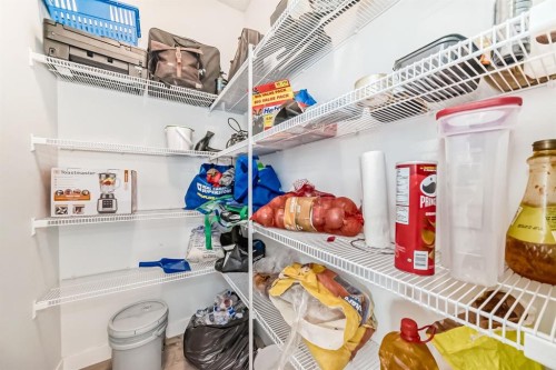 339 Wolf Creek Way Se, Calgary, AB - Indoor With Storage