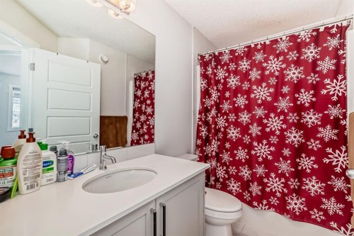 339 Wolf Creek Way Se, Calgary, AB - Indoor Photo Showing Bathroom