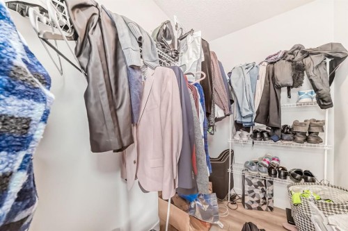 339 Wolf Creek Way Se, Calgary, AB - Indoor With Storage