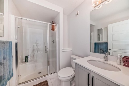 339 Wolf Creek Way Se, Calgary, AB - Indoor Photo Showing Bathroom