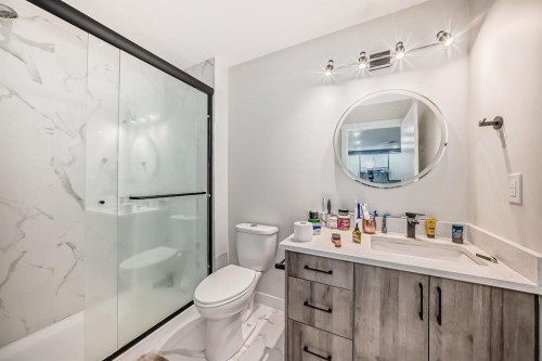 339 Wolf Creek Way Se, Calgary, AB - Indoor Photo Showing Bathroom