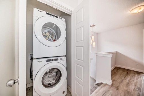339 Wolf Creek Way Se, Calgary, AB - Indoor Photo Showing Laundry Room