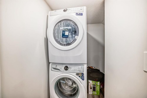 339 Wolf Creek Way Se, Calgary, AB - Indoor Photo Showing Laundry Room