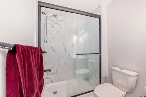 339 Wolf Creek Way Se, Calgary, AB - Indoor Photo Showing Bathroom
