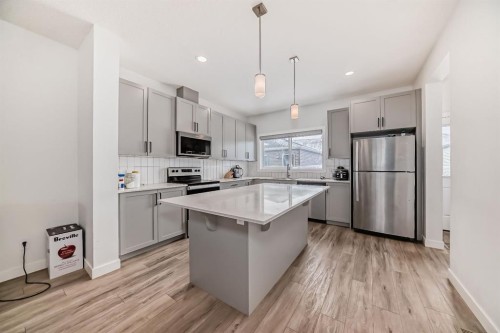339 Wolf Creek Way Se, Calgary, AB - Indoor Photo Showing Kitchen With Stainless Steel Kitchen With Upgraded Kitchen