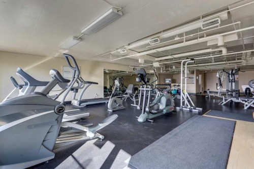 14-133 Rockyledge View Nw, Calgary, AB - Indoor Photo Showing Gym Room