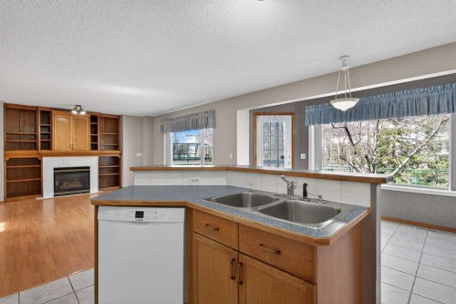 416 Douglas Glen Close Se, Calgary, AB - Indoor Photo Showing Kitchen With Fireplace With Double Sink