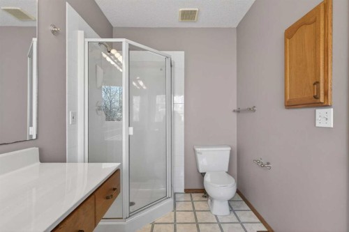 416 Douglas Glen Close Se, Calgary, AB - Indoor Photo Showing Bathroom