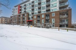 219-88 9 Street NECalgary, AB T2E 4E1
