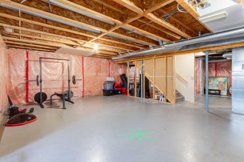 12 Mahogany Heath Se, Calgary, AB - Indoor Photo Showing Basement