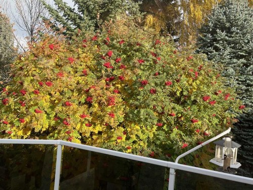 240 Varsity Estates Terrace Nw, Calgary, AB - Outdoor