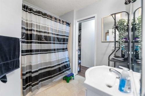 15 Erin Green Way Se, Calgary, AB - Indoor Photo Showing Bathroom