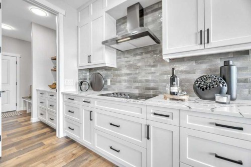 163 Lakewood Circle, Strathmore, AB - Indoor Photo Showing Kitchen With Upgraded Kitchen