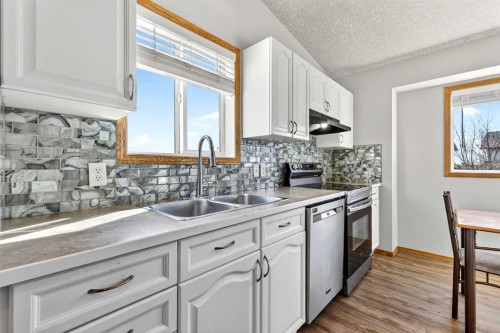 42 Strathford Close, Strathmore, AB - Indoor Photo Showing Kitchen With Double Sink