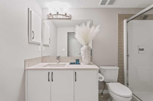 409-4350 Seton Drive Se, Calgary, AB - Indoor Photo Showing Bathroom