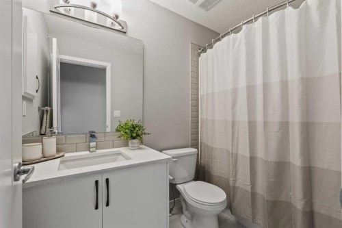 409-4350 Seton Drive Se, Calgary, AB - Indoor Photo Showing Bathroom
