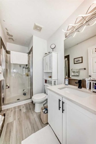 15 Spring Meadows Bay, Okotoks, AB - Indoor Photo Showing Bathroom