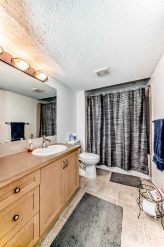 15 Spring Meadows Bay, Okotoks, AB - Indoor Photo Showing Bathroom