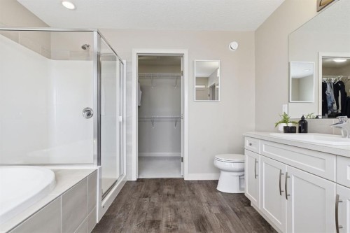132 Sundown Way, Cochrane, AB - Indoor Photo Showing Bathroom