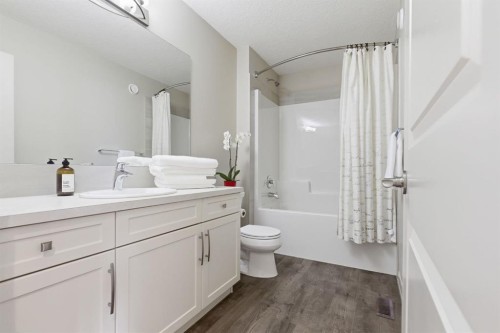 132 Sundown Way, Cochrane, AB - Indoor Photo Showing Bathroom