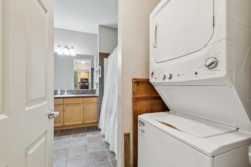 110-37 Prestwick Drive Se, Calgary, AB - Indoor Photo Showing Laundry Room