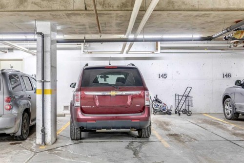 110-37 Prestwick Drive Se, Calgary, AB - Indoor Photo Showing Garage
