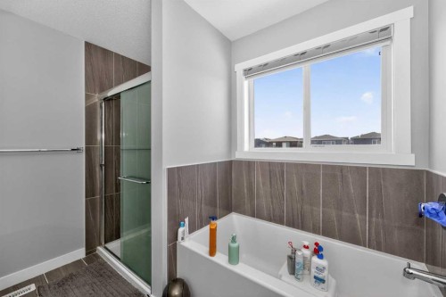 1351 Cornerstone Boulevard Ne, Calgary, AB - Indoor Photo Showing Bathroom